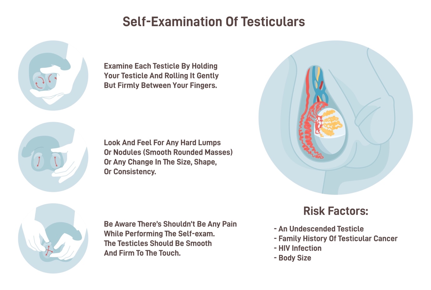 Testicular Cancer